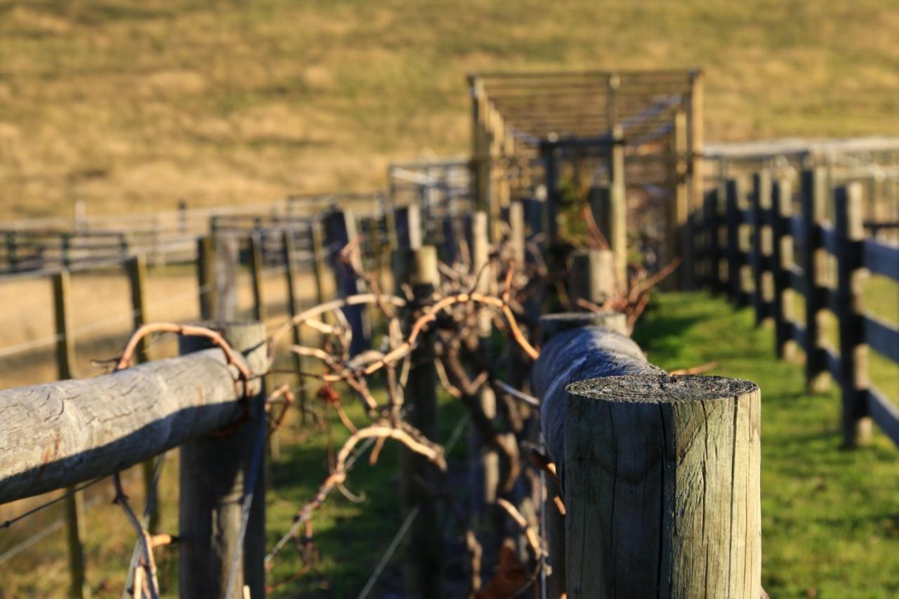 Appartamento Down To Earth Farm Retreat Sarsfield Esterno foto
