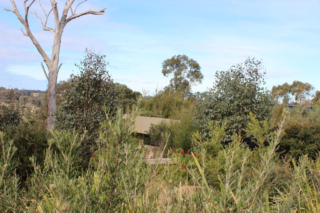 Appartamento Down To Earth Farm Retreat Sarsfield Esterno foto