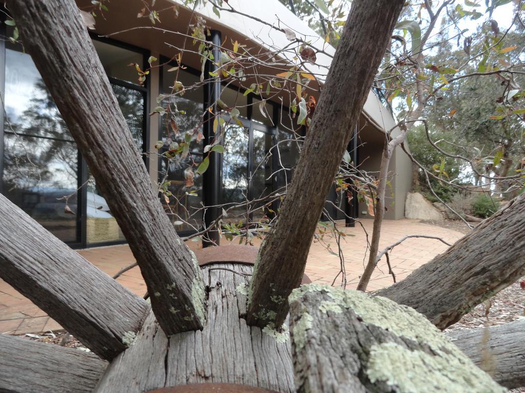 Appartamento Down To Earth Farm Retreat Sarsfield Esterno foto